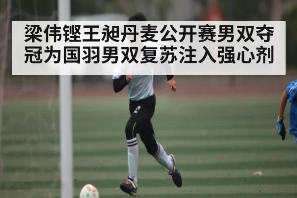 梁伟铿王昶丹麦公开赛男双夺冠为国羽男双复苏注入强心剂